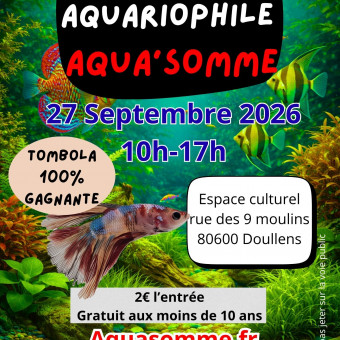 aquariophile felicien