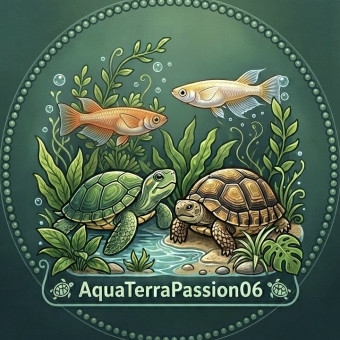 aquariophile AquaTerraPassion06