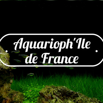 aquariophile Pioute