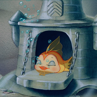 aquariophile Romvivi