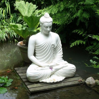 aquariophile aquamaniac-show-1