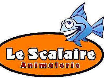 aquariophile le_scalaire_animalerie