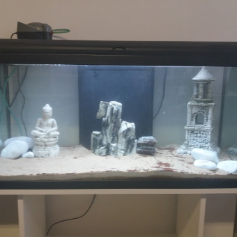 aquariophile Delarchand