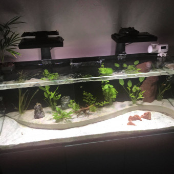 aquariophile christophe06