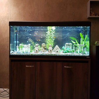 aquariophile lorraine93