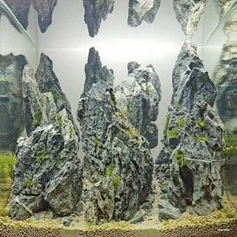 aquariophile Lims