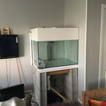 aquariophile Joclaire