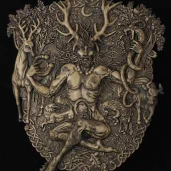 aquariophile Aria5502