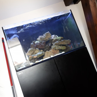 aquariophile david-poulain