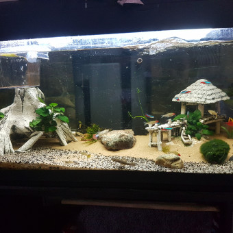 aquariophile steven-ruppert
