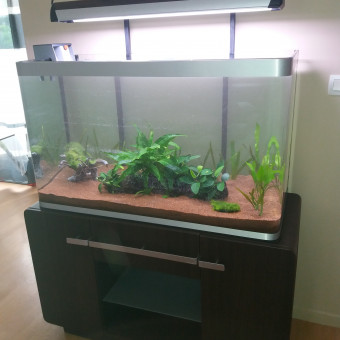 aquariophile pamela-delrue