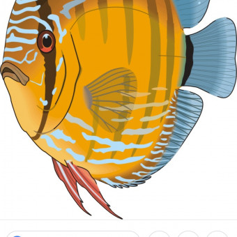 aquariophile Tollimin619