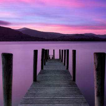 aquariophile Guppy0538