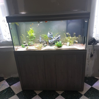 aquariophile micka1904