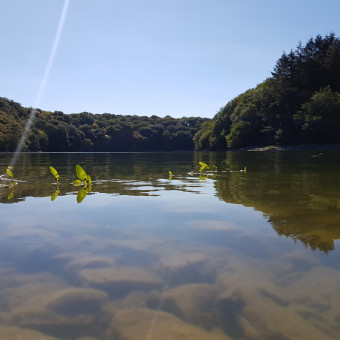 aquariophile Nonoaquario