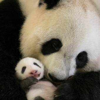 aquariophile BozzoCwn