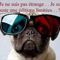 aquariophile jean-pierre-desplaces