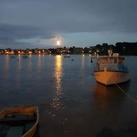 aquariophile iwona-anna-walendowska