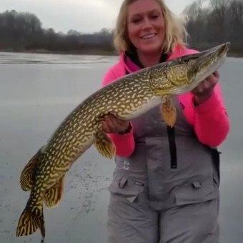 aquariophile Christopheloyettes