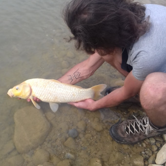 aquariophile julian-canilhac