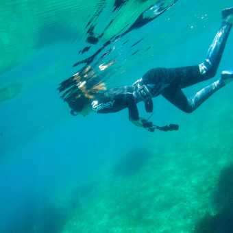 aquariophile Sydney83