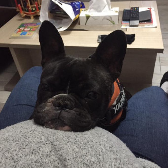 aquariophile chrisaur-dekeyser