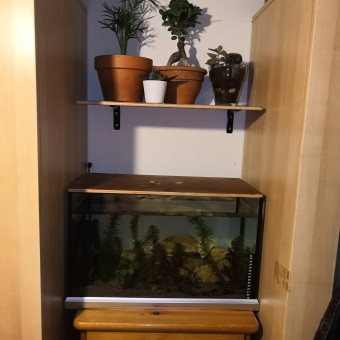 aquariophile Kaelyn