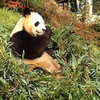 aquariophile benoit-arcizet