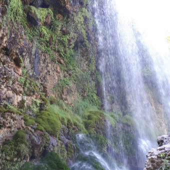 aquariophile Cesar-Bistruck