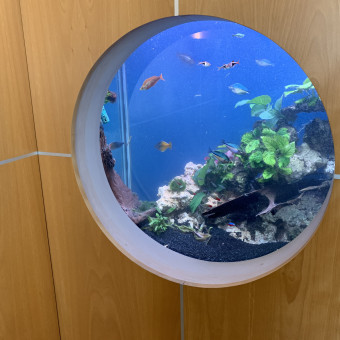 aquariophile Aquarium-bassin