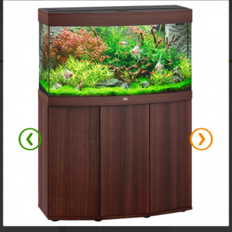 aquariophile julien-dupont