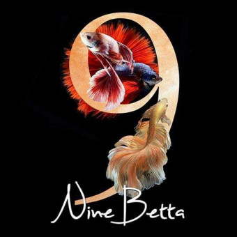 aquariophile Nine_Betta