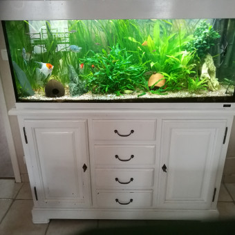 aquariophile cedric-sch