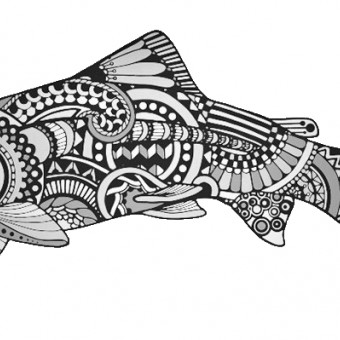 aquariophile christphe-cabedoche