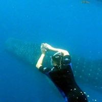 aquariophile steph-vs