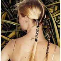 aquariophile assia-alia