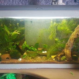 aquariophile Eric68130