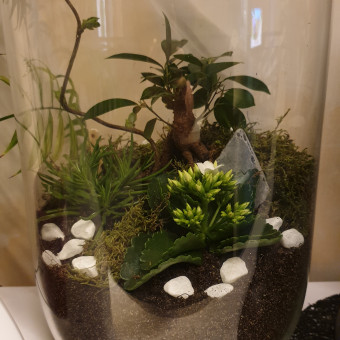 aquariophile sebcat-inaya-tino-mavie