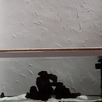 aquariophile ValouLB