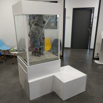 aquariophile AQUABIANCE