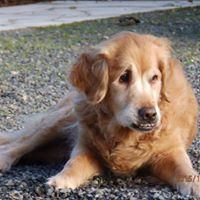 aquariophile sylvie-debray