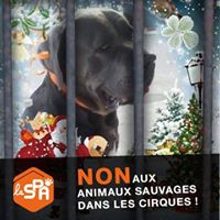 aquariophile stephane-cartier