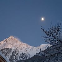 aquariophile flo-bou