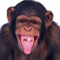 aquariophile thierry-jean