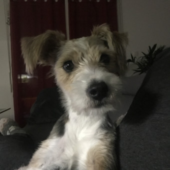 aquariophile lucie-dgs