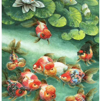 aquariophile Parans