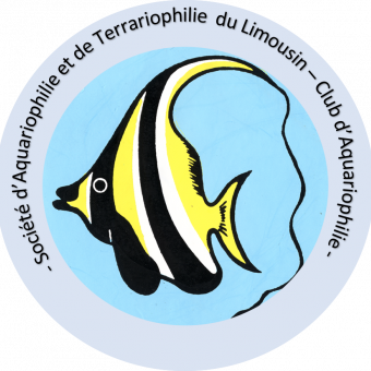 aquariophile Etienne87