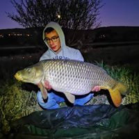 aquariophile kevin-bulas