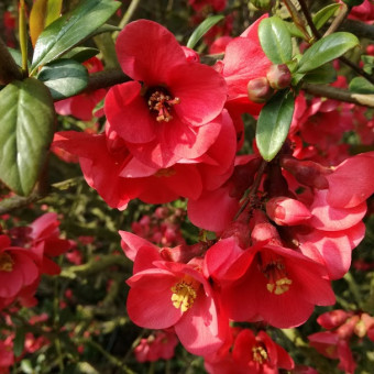 aquariophile leprof59