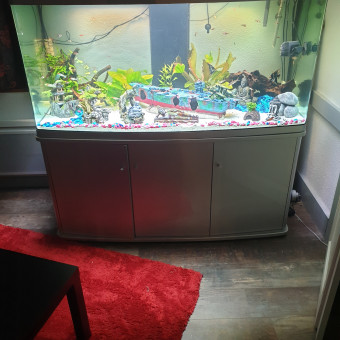 aquariophile Lacdar39